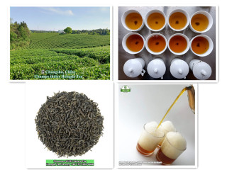 Développement de marque du thé sur-mesureالشاي الأخضر من الصين