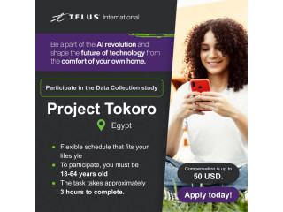HIRING: Data Collection Project in Egypt