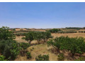 ferme-de-4-hectares-65r-region-tiflet-small-0