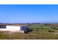 vente-ferme-19-hectares-a-tnine-chtouna-small-1