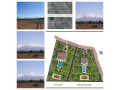 vente-terrain-de-2-hectares-460m2-rte-ourika-small-0