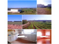 vente-ferme-18-hectares-a-tnine-chtouka-small-0