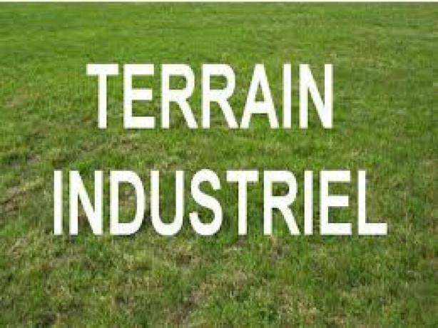 terrain-industriel-1hectare-3000m2-i2-a-darbouazza-big-0