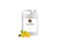 huile-essentielle-dylang-ylang-distributeur-bioprogreen-maroc-small-0
