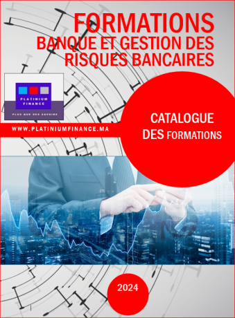 formations-cadres-banque-et-gestion-des-risques-bancaire-big-0