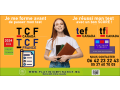 formation-cadre-nos-formations-test-tef-tcf-canada-france-tfi-small-0