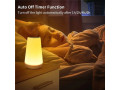 lampe-de-oral-et-rgb-portable-avec-telecommande-tactile-rechargeable-par-usb-small-0
