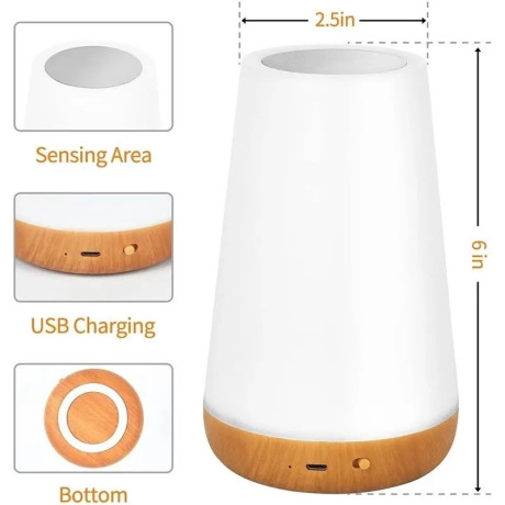 lampe-de-oral-et-rgb-portable-avec-telecommande-tactile-rechargeable-par-usb-big-1