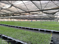 expert-en-agriculture-innovante-et-durable-specialiste-des-fermes-verticales-indoor-small-3