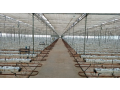 expert-en-agriculture-innovante-et-durable-specialiste-des-fermes-verticales-indoor-small-1