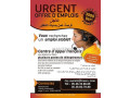 offres-demploi-centre-dappel-frs-aaml-bmdyn-alnathor-small-0