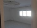 appart-avec-grande-terrasse-bien-ensoleille-small-3