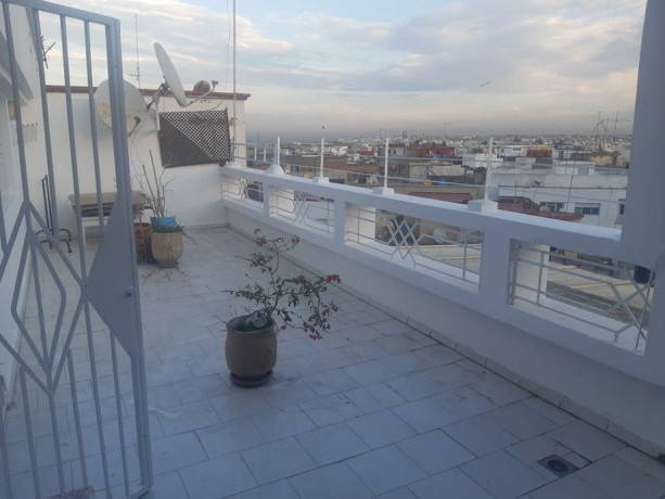 appart-avec-grande-terrasse-bien-ensoleille-big-0