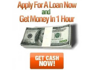 Apply For Cash Loan No Collateral Required